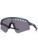 画像1: 【送料無料】OAKLEY SUTRO LITE SWEEP TROY LEE BLUE/PRIZM GRY (1)