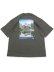 画像1: 【SALE】THE NORTH FACE S/S YOSEMITE SCENERY TEE (1)