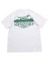 画像2: ACAPULCO GOLD POINTER DOG TEE WHITE (2)