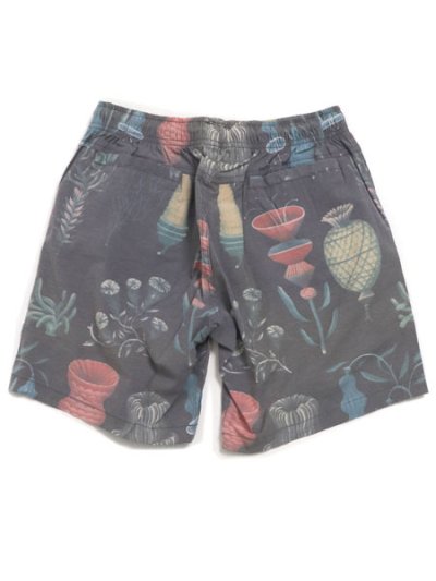 画像2: 【MEGA SALE】DEUS BETES BJORN SWIM SHORT