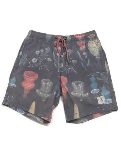 画像1: 【MEGA SALE】DEUS BETES BJORN SWIM SHORT