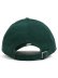 画像4: NEW ERA 9TWENTY KHAKI SWEAT BAND METS DK GREEN