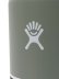 画像4: Hydro Flask HYDRATION 16 OZ WIDE MOUTH-AGAVE (4)