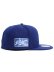 画像4: NEW ERA 59FIFTY CS DODGERS CTWN UV/GY FB WS1965