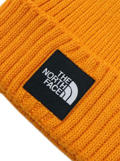 画像3: THE NORTH FACE CAPPUCHO LID