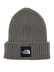 画像1: THE NORTH FACE CAPPUCHO LID (1)