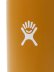 画像4: Hydro Flask HYDRATION 20 OZ WIDE MOUTH-FOSSIL (4)