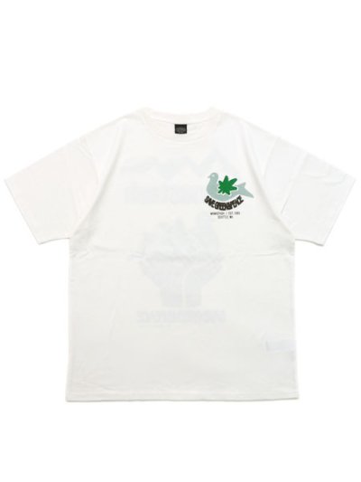 画像2: MANASTASH CiTee PIGION TEE WHITE