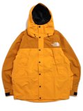 【送料無料】THE NORTH FACE MOUNTAIN LIGHT JACKET