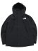 画像1: 【送料無料】THE NORTH FACE MOUNTAIN JACKET (1)