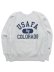 画像1: 【送料無料】CHAMPION RW CREW SWEATSHIRT USAFA-SILVER GREY (1)