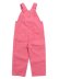 画像2: 【KIDS】CARHARTT KIDS TD LOOSE CNV BIB OVERALL-PK LEMONAD (2)