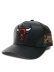 画像1: MITCHELL & NESS NBA BUTTERY PRO STRAPBACK BULLS (1)