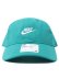 画像2: 【KIDS】NIKE KIDS FUTURA CURVE BRIM CAP-DUSTY CACTUS (2)