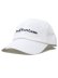 画像1: 【送料無料】POLO RALPH LAUREN COTTON TWILL BALL LOGO CAP (1)