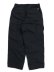 画像2: 【送料無料】THE NORTH FACE GEOLOGY CARGO PANT (2)