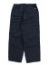 画像2: 【送料無料】THE NORTH FACE GEOLOGY CARGO PANT (2)