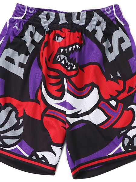 big face raptors shorts