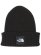 画像1: THE NORTH FACE CAPPUCHO LID (1)