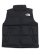 画像1: 【送料無料】THE NORTH FACE NUPTSE VEST (1)