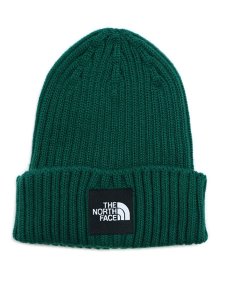 画像1: THE NORTH FACE CAPPUCHO LID (1)