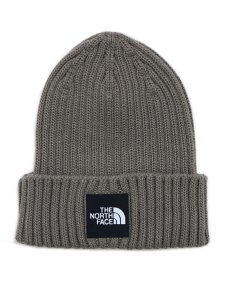 画像1: THE NORTH FACE CAPPUCHO LID (1)