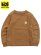 画像1: 【KIDS】CARHARTT KIDS TD LS GRAPHIC POCKET TEE-C.BROWN (1)