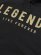 画像3: STREET WEAR SUPPLY LEGENDS NEVER DIE FOREVER HOODIE (3)